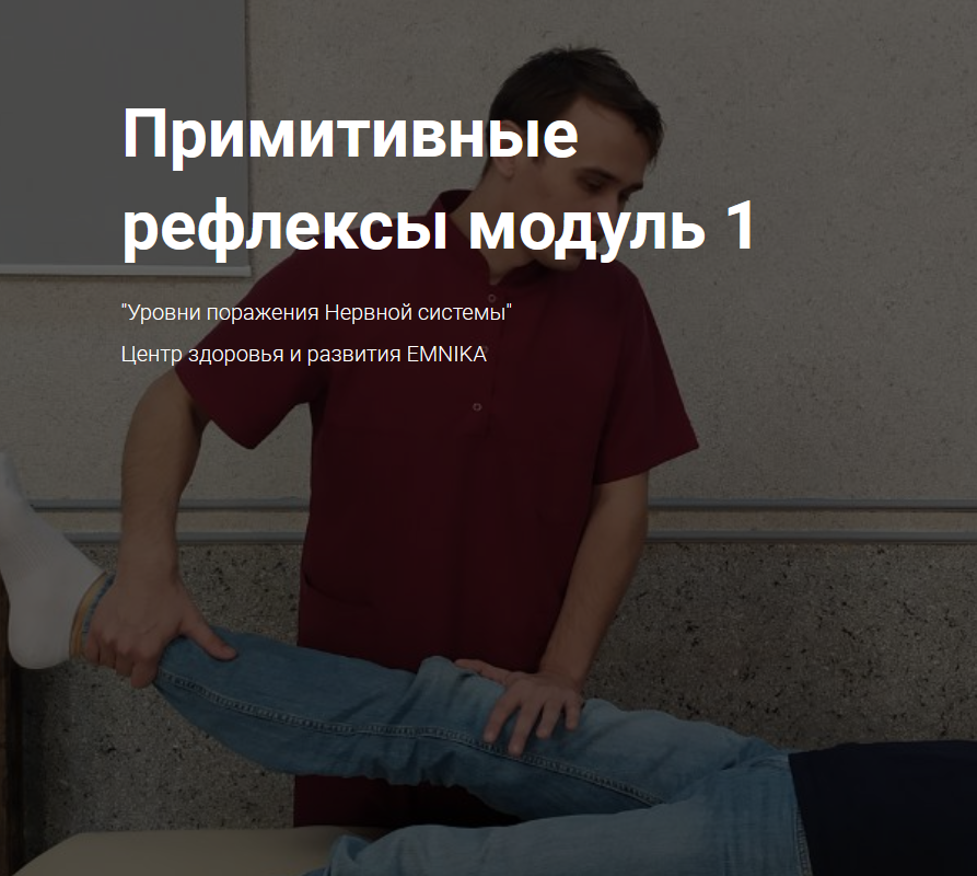 [Москалёв Егор Георгиевич] [EMNIKA] Примитивные ре_0.png